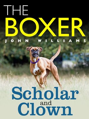 cover image of The Boxer